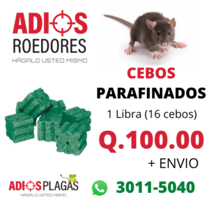 CEBOS PARAFINADOS