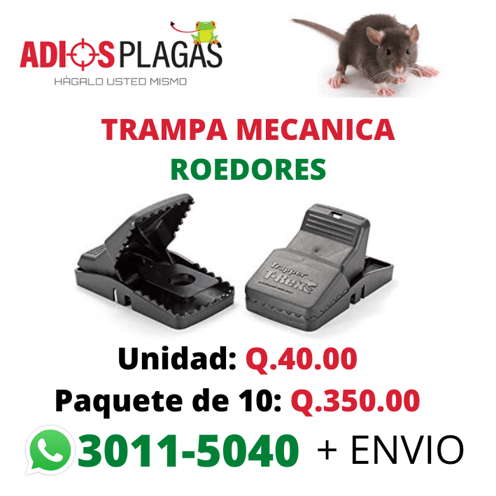 https://adiosplagas.com/wp-content/uploads/2022/03/TRAMPA-MECANICA-ROEDORES.png