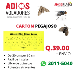 CARTON PEGAJOSO VOLADORES